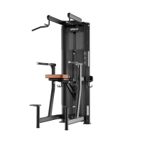 PRECOR RMS Dip-Chin Assist