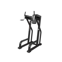 Discovery™ Series Benches and Racks Vertical Knee-Up