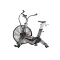 PRECOR AssaultBike Elite
