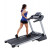 XT285 Treadmill - Folding