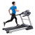 XT385 Treadmill - Folding